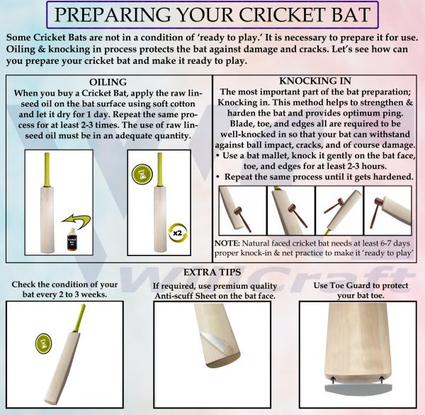 ns bat info